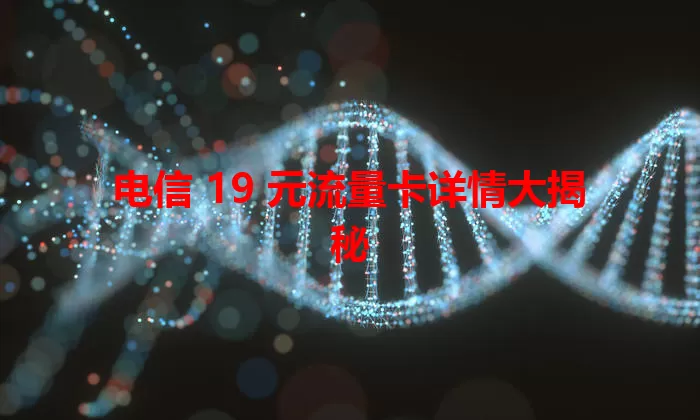 电信 19 元流量卡详情大揭秘