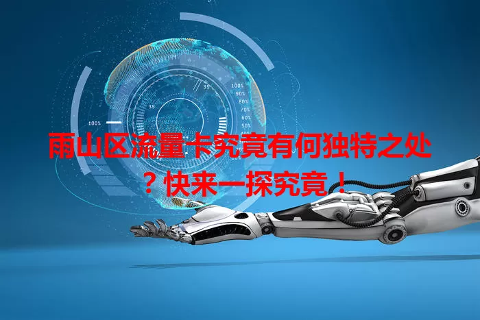 雨山区流量卡究竟有何独特之处？快来一探究竟！