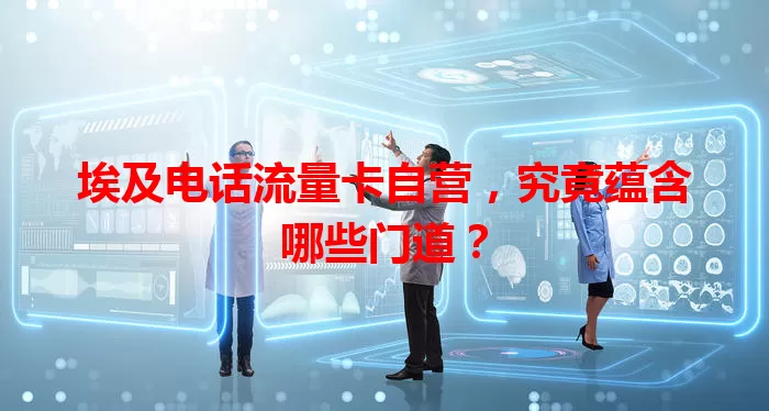 埃及电话流量卡自营，究竟蕴含哪些门道？