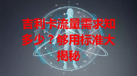 吉利卡流量需求知多少？够用标准大揭秘