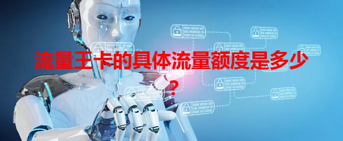 流量王卡的具体流量额度是多少？