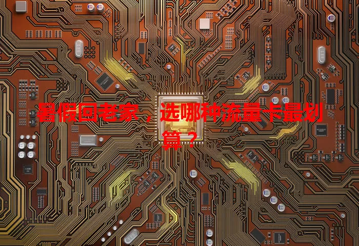 暑假回老家，选哪种流量卡最划算？