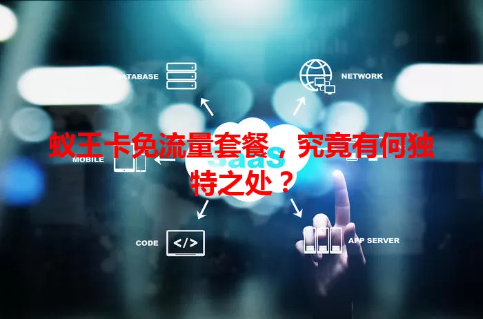 蚁王卡免流量套餐，究竟有何独特之处？