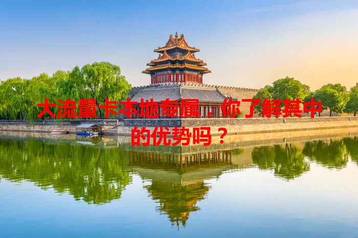 大流量卡本地专属，你了解其中的优势吗？