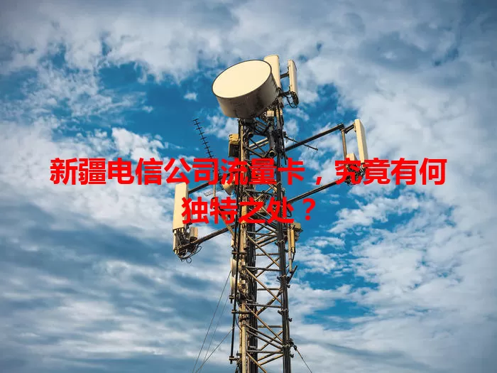新疆电信公司流量卡，究竟有何独特之处？