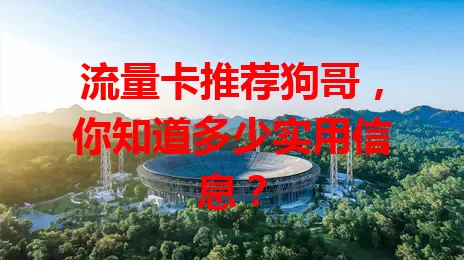 流量卡推荐狗哥，你知道多少实用信息？