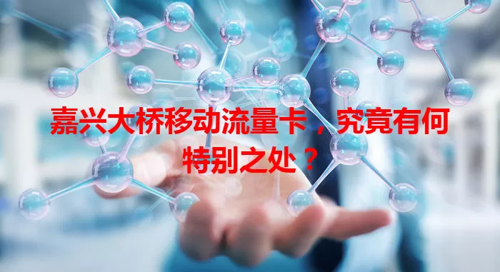 嘉兴大桥移动流量卡，究竟有何特别之处？