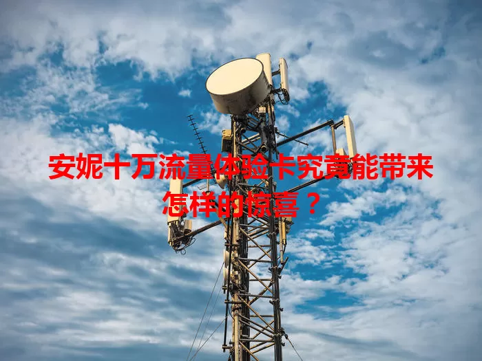 安妮十万流量体验卡究竟能带来怎样的惊喜？