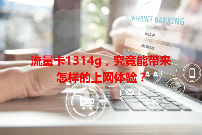 流量卡1314g，究竟能带来怎样的上网体验？