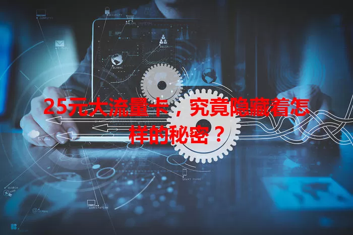 25元大流量卡，究竟隐藏着怎样的秘密？