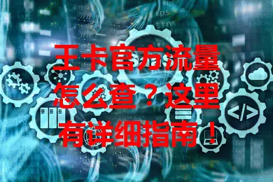 王卡官方流量怎么查？这里有详细指南！