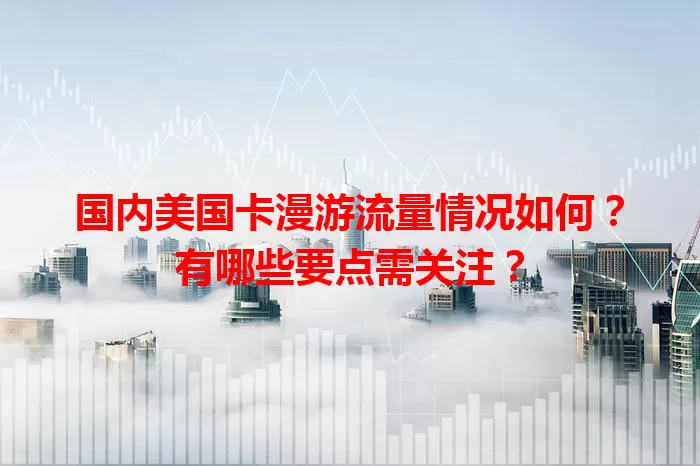 国内美国卡漫游流量情况如何？有哪些要点需关注？