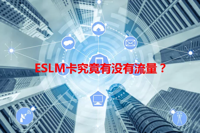 ESLM卡究竟有没有流量？