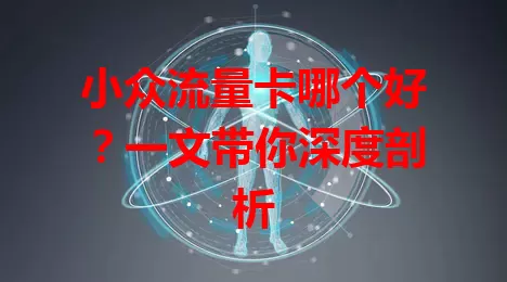 小众流量卡哪个好？一文带你深度剖析