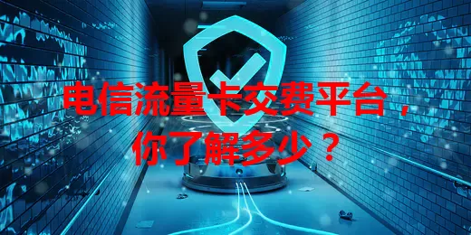 电信流量卡交费平台，你了解多少？