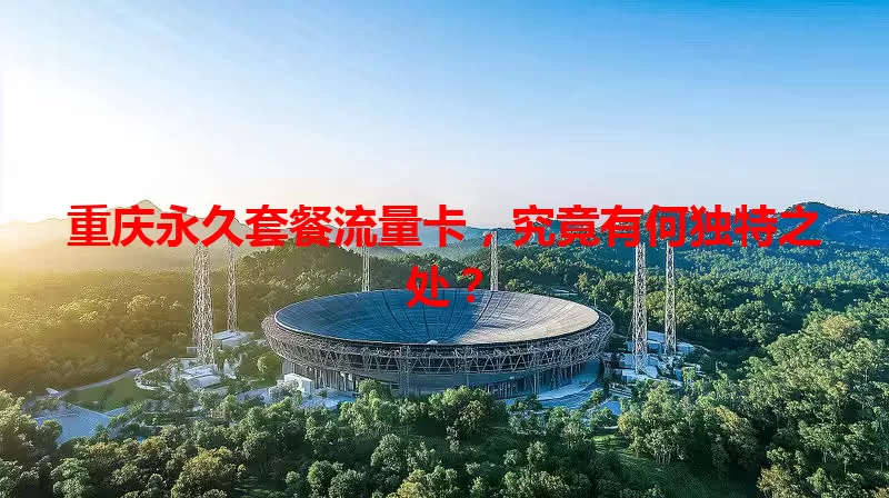 重庆永久套餐流量卡，究竟有何独特之处？