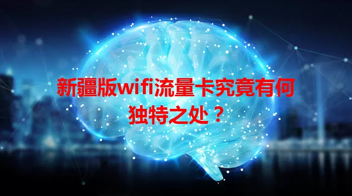 新疆版wifi流量卡究竟有何独特之处？