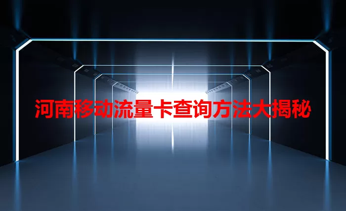河南移动流量卡查询方法大揭秘