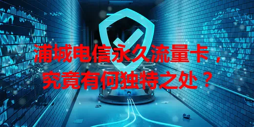 浦城电信永久流量卡，究竟有何独特之处？