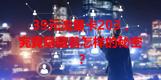 39元流量卡203，究竟隐藏着怎样的秘密？