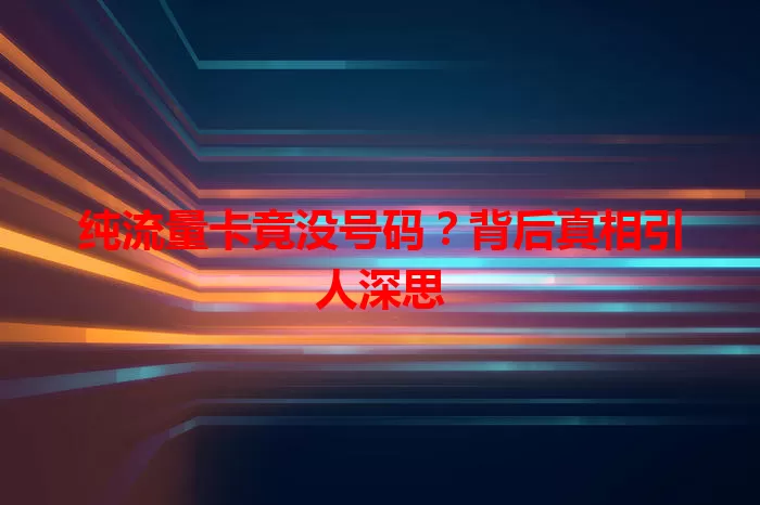 纯流量卡竟没号码？背后真相引人深思