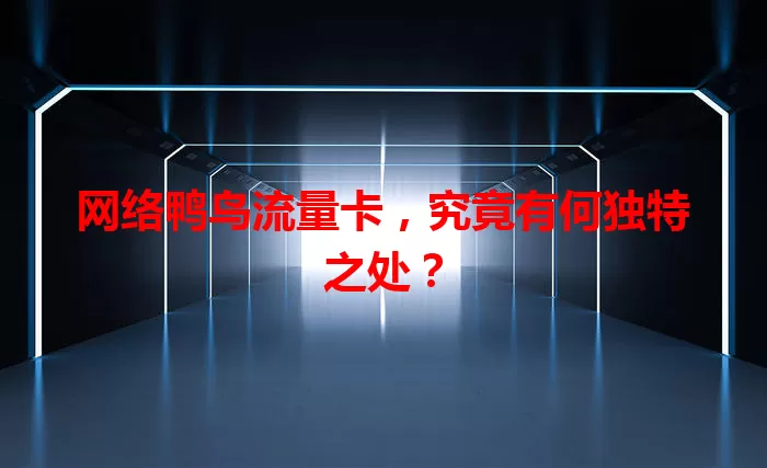 网络鸭鸟流量卡，究竟有何独特之处？