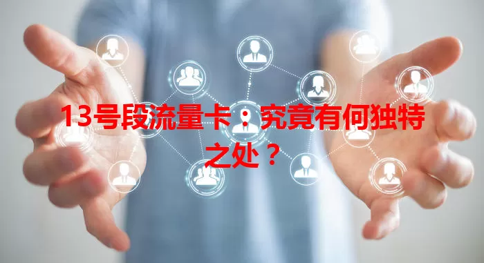 13号段流量卡：究竟有何独特之处？
