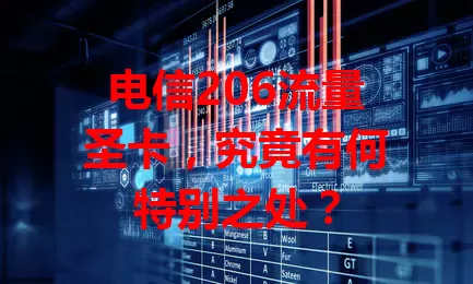电信206流量圣卡，究竟有何特别之处？