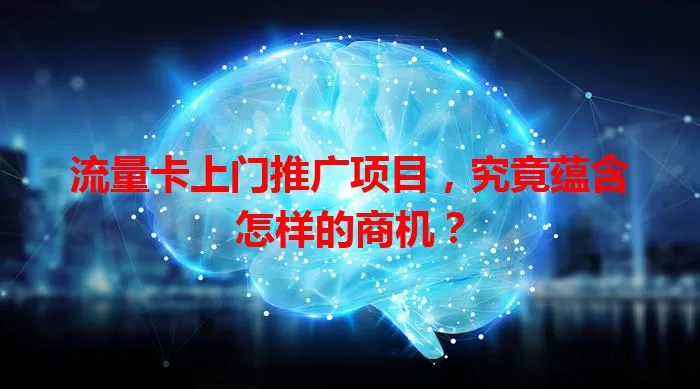 流量卡上门推广项目，究竟蕴含怎样的商机？