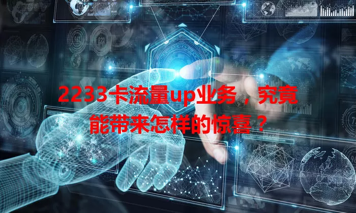 2233卡流量up业务，究竟能带来怎样的惊喜？