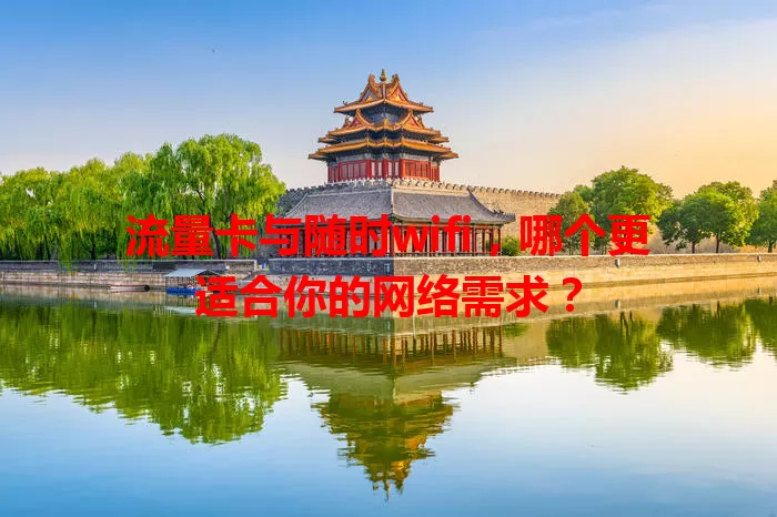 流量卡与随时wifi，哪个更适合你的网络需求？