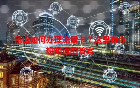 凫山如何办理流量卡？这里有你想知道的答案