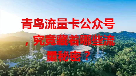 青鸟流量卡公众号，究竟藏着哪些流量秘密？