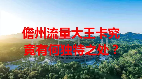 儋州流量大王卡究竟有何独特之处？