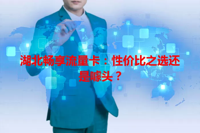 湖北畅享流量卡：性价比之选还是噱头？