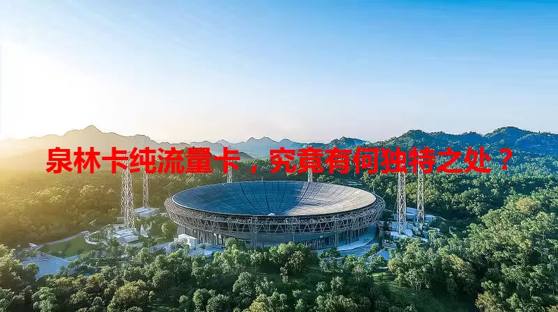 泉林卡纯流量卡，究竟有何独特之处？