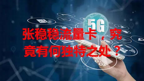 张稳稳流量卡，究竟有何独特之处？