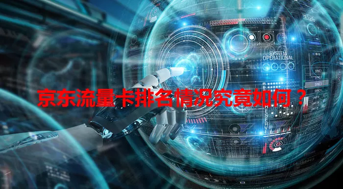 京东流量卡排名情况究竟如何？