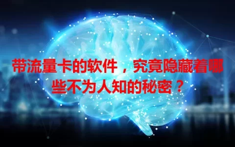 带流量卡的软件，究竟隐藏着哪些不为人知的秘密？