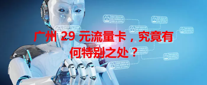 广州 29 元流量卡，究竟有何特别之处？