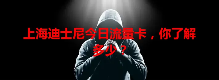 上海迪士尼今日流量卡，你了解多少？