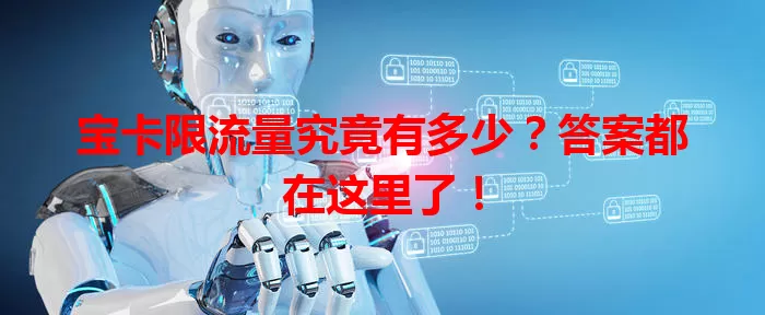宝卡限流量究竟有多少？答案都在这里了！