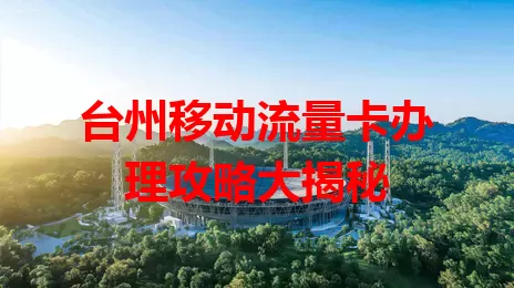 台州移动流量卡办理攻略大揭秘