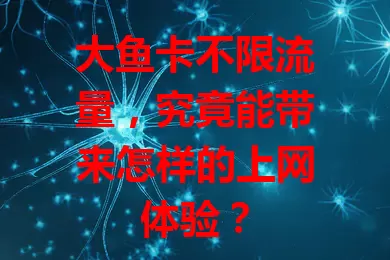 大鱼卡不限流量，究竟能带来怎样的上网体验？
