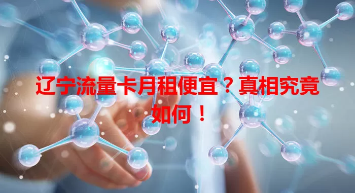 辽宁流量卡月租便宜？真相究竟如何！