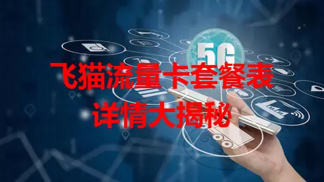 飞猫流量卡套餐表详情大揭秘