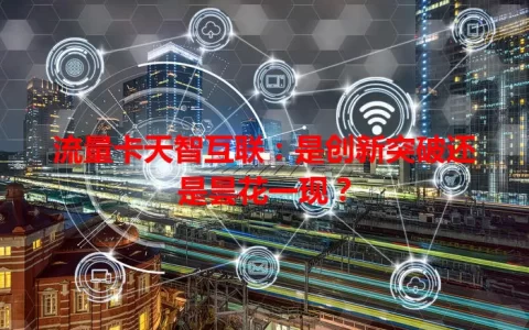 流量卡天智互联：是创新突破还是昙花一现？